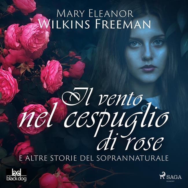 Libraccio Il vento nel cespuglio di rose e altre storie del soprannaturale (audiolibro)