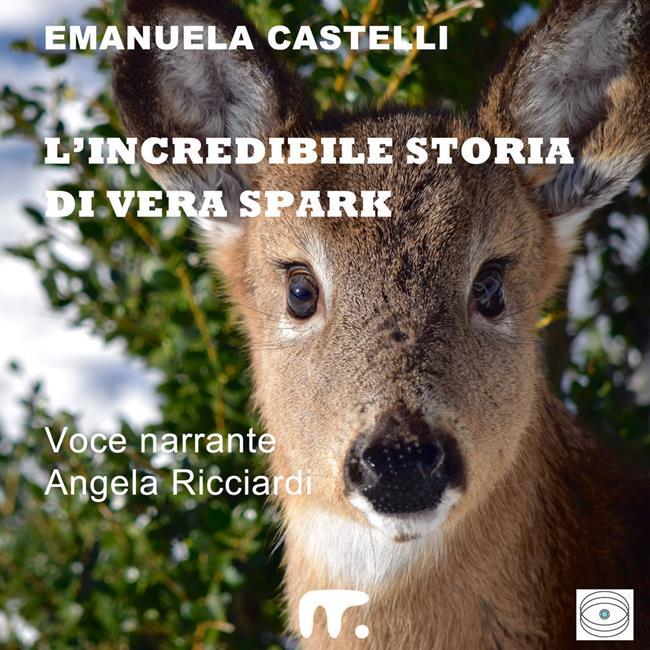 Libraccio L'incredibile storia di Vera Spark (audiolibro)