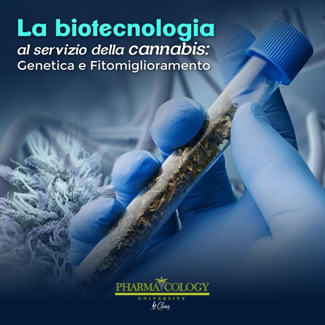 Libraccio La biotecnologia al servizio della cannabis: genetica e fitomiglioramento (audiolibro)