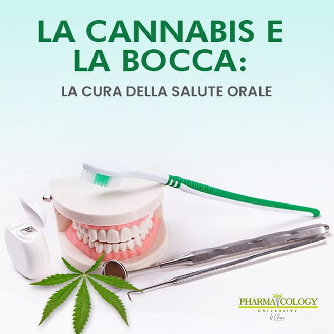 Libraccio La cannabis e la bocca: la cura della salute orale (audiolibro)