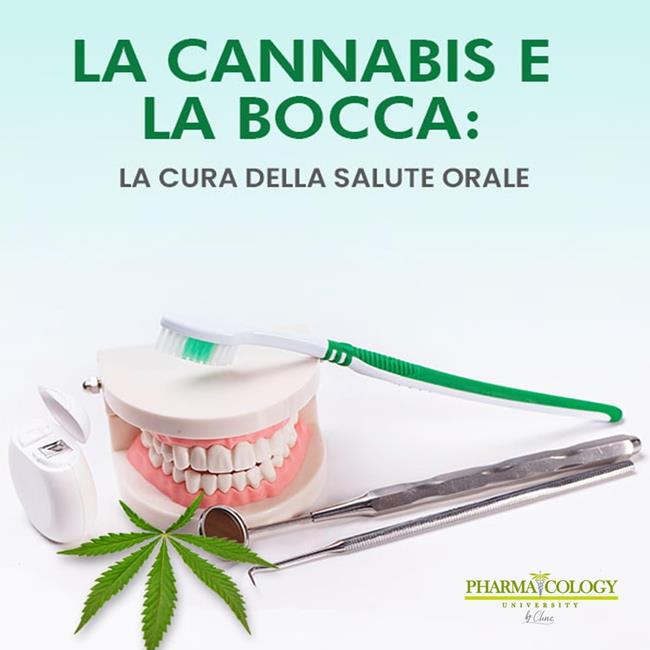 Libraccio La cannabis e la bocca: la cura della salute orale (audiolibro)