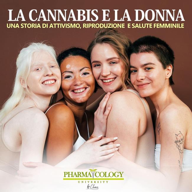 Libraccio La cannabis e la donna: una storia di attivismo riproduzione e salute femminile (audiolibro)