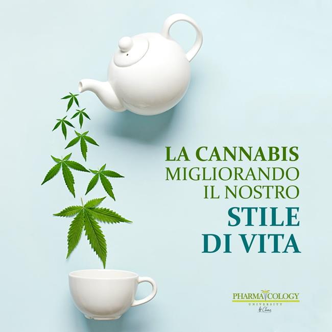 Libraccio La cannabis migliorando il nostro stile di vita. (audiolibro)