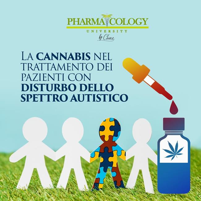 Libraccio La cannabis nel trattamento dei pazienti con disturbo dello spettro autistico (audiolibro)