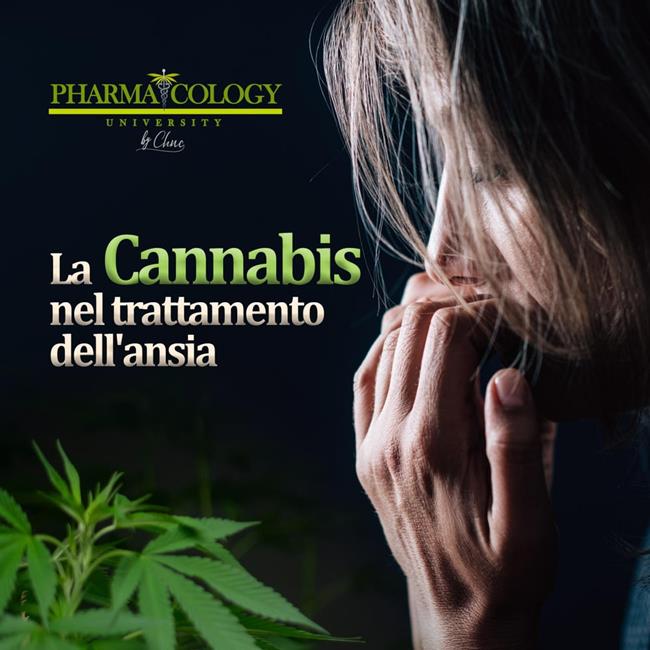 Libraccio La cannabis nel trattamento dell'ansia (audiolibro)