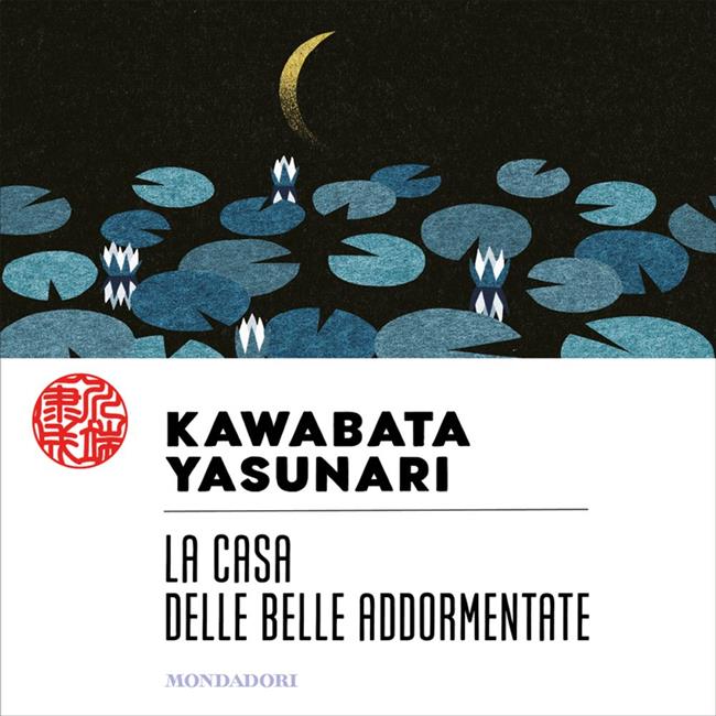 Libraccio La casa delle belle addormentate (audiolibro)