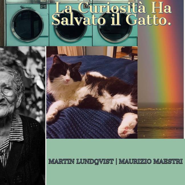 Libraccio La Curiosità Ha Salvato il Gatto. (audiolibro)