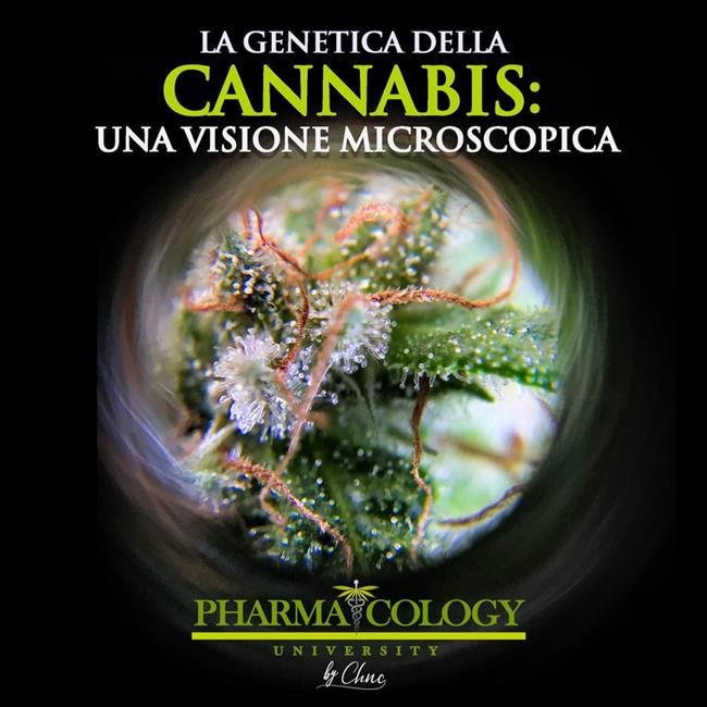 Libraccio La genetica della cannabis: una visione microscopica (audiolibro)