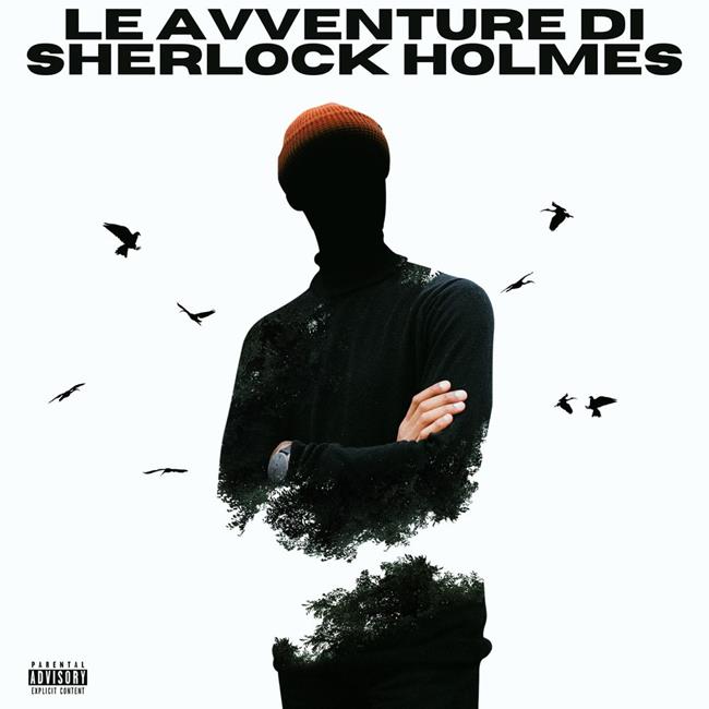 Libraccio Le avventure di Sherlock Holmes (audiolibro)