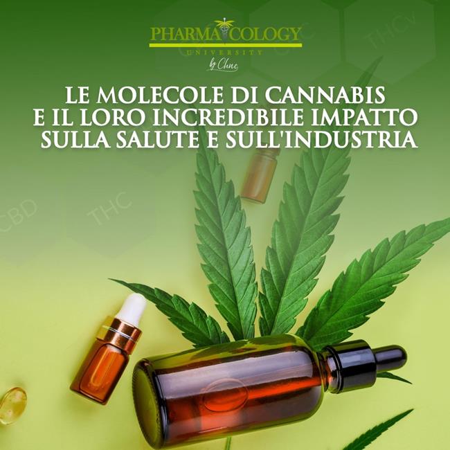 Libraccio Le molecole di cannabis e il loro incredibile impatto sulla salute e sull'industria (audiolibro)