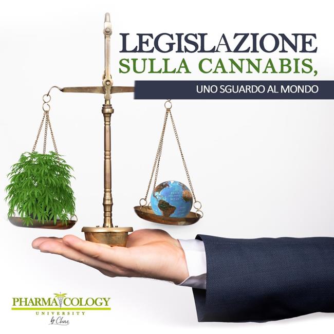 Libraccio Legislazione sulla cannabis uno sguardo al mondo (audiolibro)