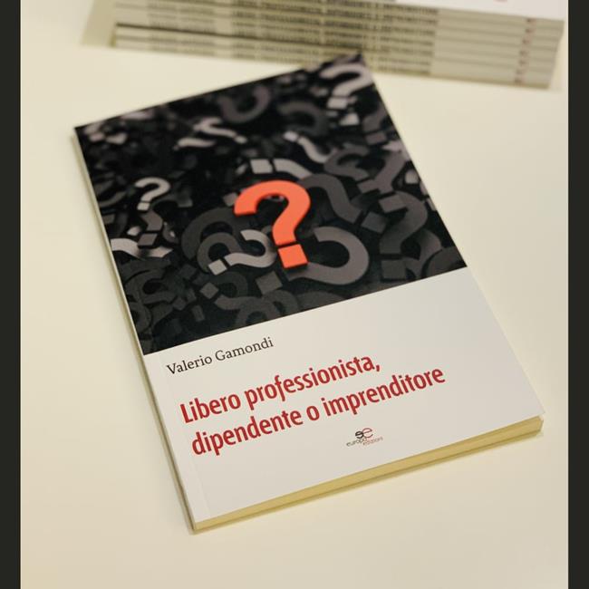 Libraccio Libero professionista dipendente o imprenditore (audiolibro)