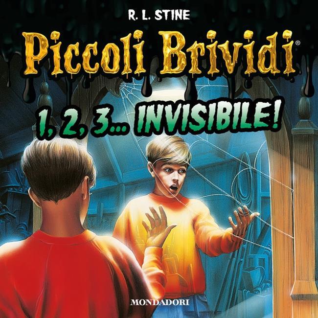 Libraccio 1 2 3 invisibile (audiolibro)