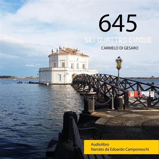 Libraccio 645 (audiolibro)