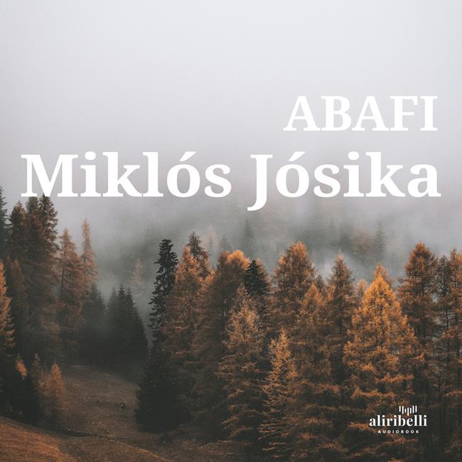 Libraccio Abafi (audiolibro)