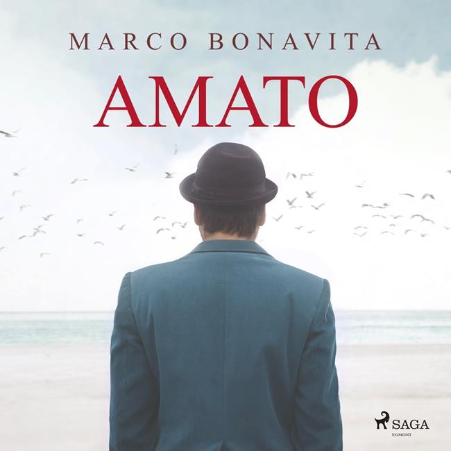 Libraccio Amato (audiolibro)