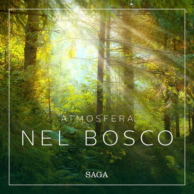 Libraccio Atmosfera - Nel bosco (audiolibro)