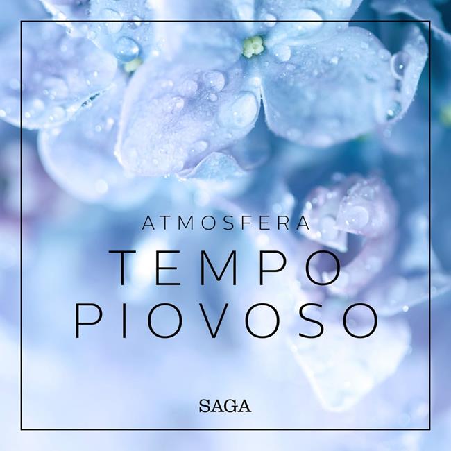 Libraccio Atmosfera - Tempo piovoso (audiolibro)