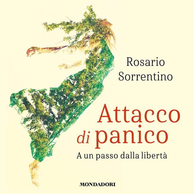 Libraccio Attacco di panico (audiolibro)