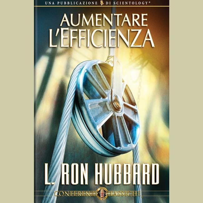 Libraccio Aumentare L'Efficienza (audiolibro)