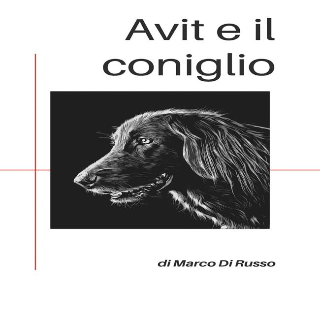 Libraccio Avit e il coniglio (audiolibro)