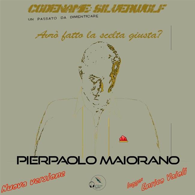 Libraccio Avrò fatto la scelta giusta? (audiolibro)