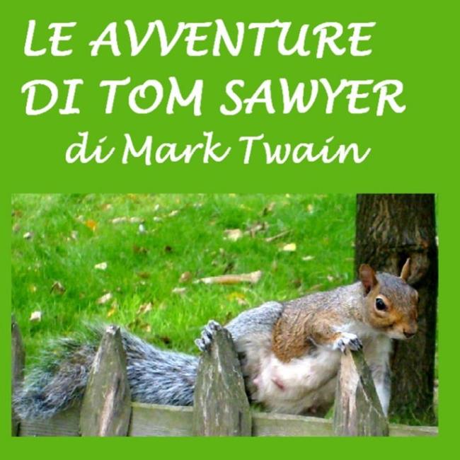 Libraccio Avventure di Tom Sawyer Le (audiolibro)