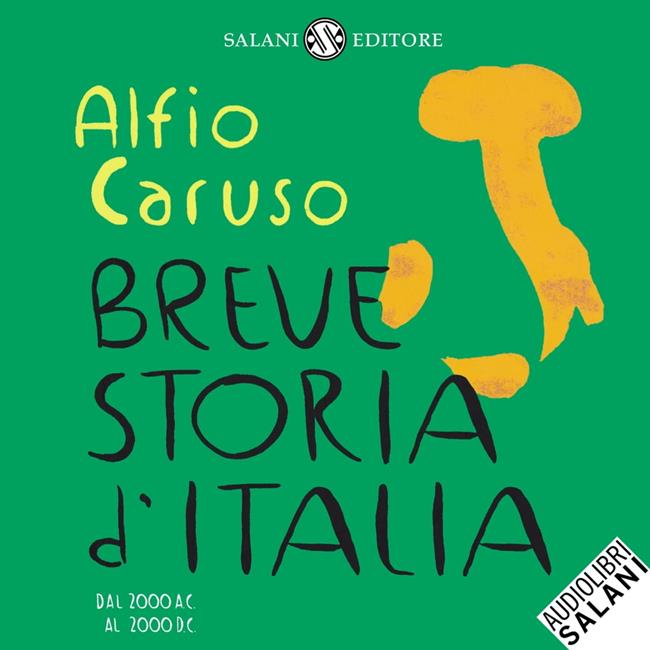 Libraccio Breve storia d'Italia (audiolibro)