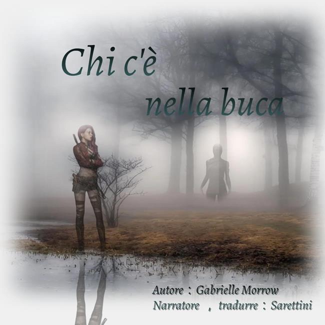 Libraccio Chi c'è nella buca (audiolibro)