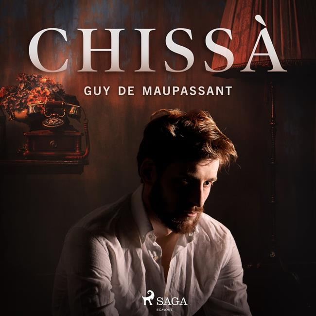 Libraccio Chissà (audiolibro)