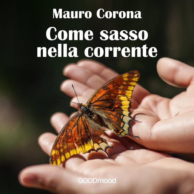 Libraccio Come sasso nella corrente (audiolibro)
