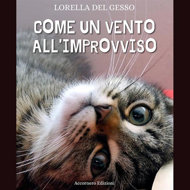 Libraccio Come un vento all’improvviso (audiolibro)