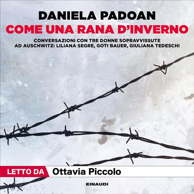Libraccio Come una rana d'inverno (audiolibro)