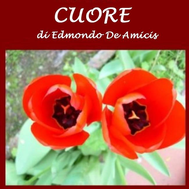 Libraccio Cuore (audiolibro)
