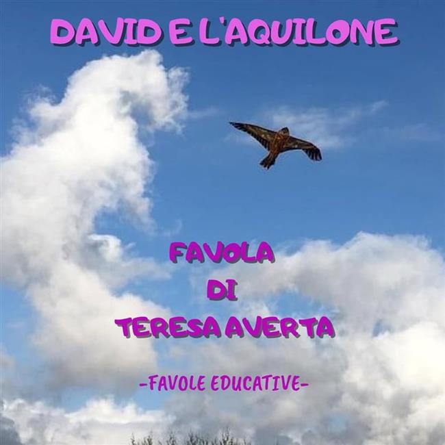 Libraccio David e l'aquilone (audiolibro)