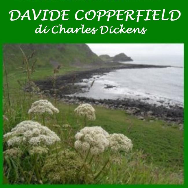 Libraccio Davide Copperfield (audiolibro)