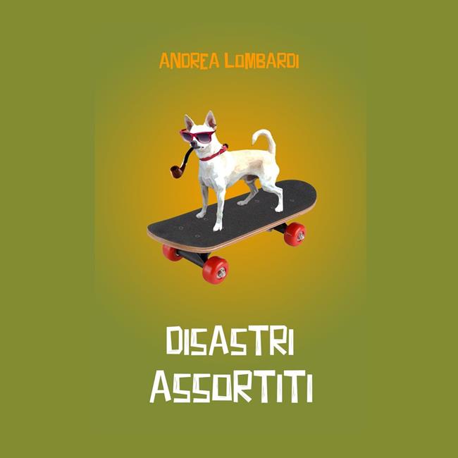 Libraccio Disastri assortiti (audiolibro)