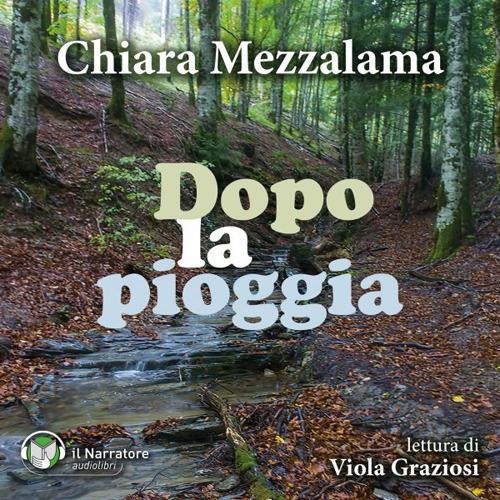 Libraccio Dopo la pioggia (audiolibro)