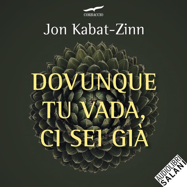 Libraccio Dovunque tu vada ci sei già (audiolibro)