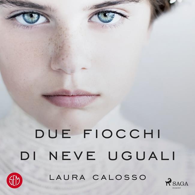 Libraccio Due fiocchi di neve uguali (audiolibro)