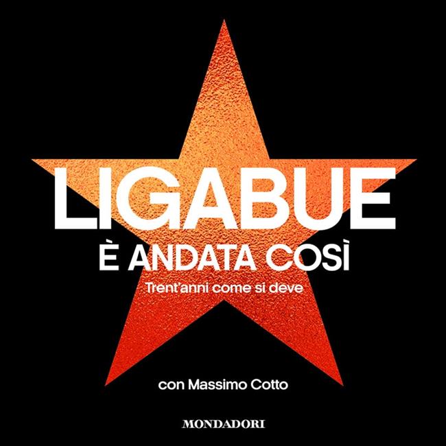 Libraccio È andata così (audiolibro)