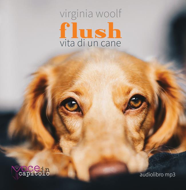 Libraccio Flush (audiolibro)