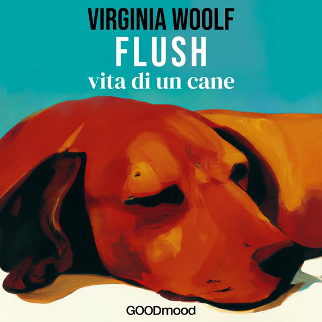 Libraccio Flush (audiolibro)