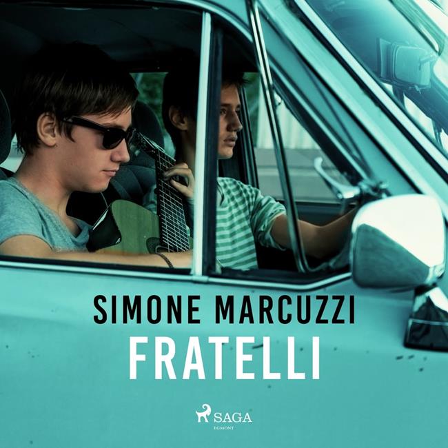 Libraccio Fratelli (audiolibro)