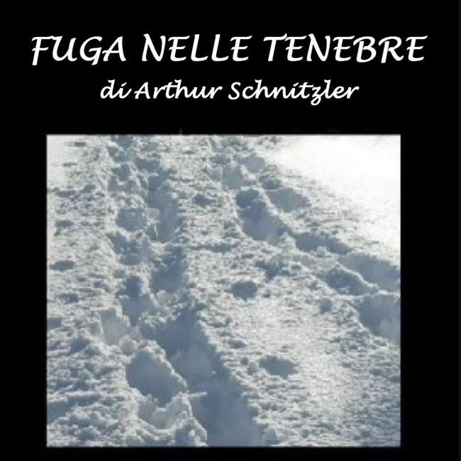 Libraccio Fuga nelle tenebre (audiolibro)