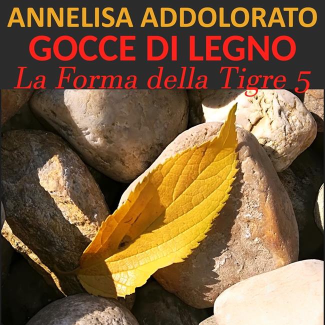 Libraccio Gocce di legno (audiolibro)