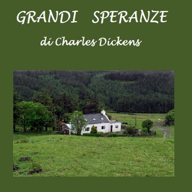 Libraccio Grandi speranze (audiolibro)