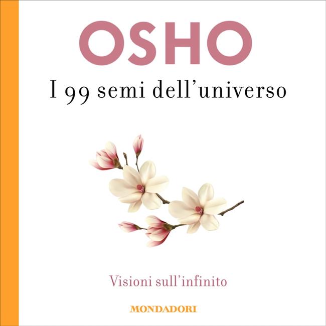 Libraccio I 99 semi dell'Universo (audiolibro)