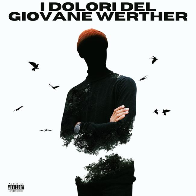 Libraccio I dolori del giovane Werther (audiolibro)