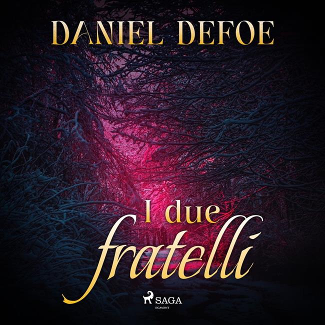 Libraccio I due fratelli (audiolibro)